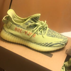 They are the Yeezys Boost 350 Great Condition